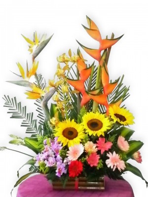 Arreglo Floral Con Girasoles Y Orquideas A Domicilio En Cali 