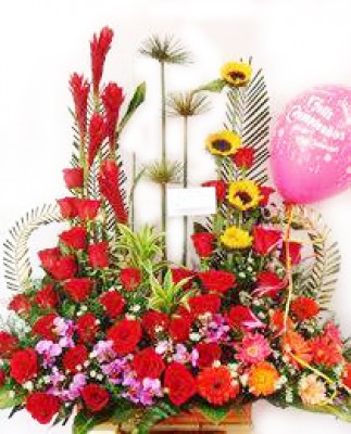 DISEÑO JARDIN No 11