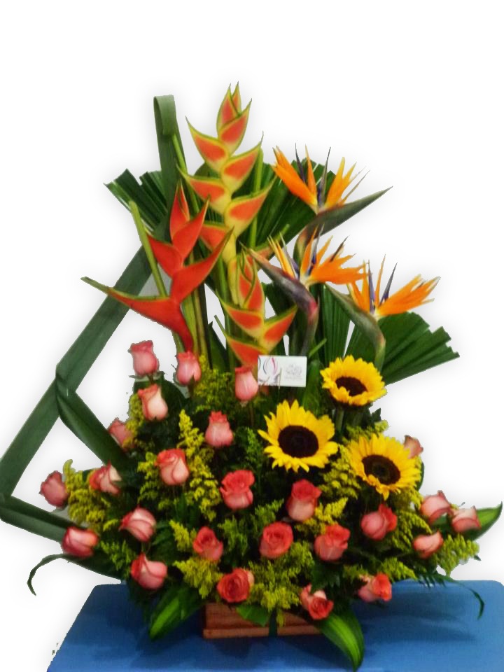 Arreglo Floral Encanto Exótico A Domicilio En Cali 
