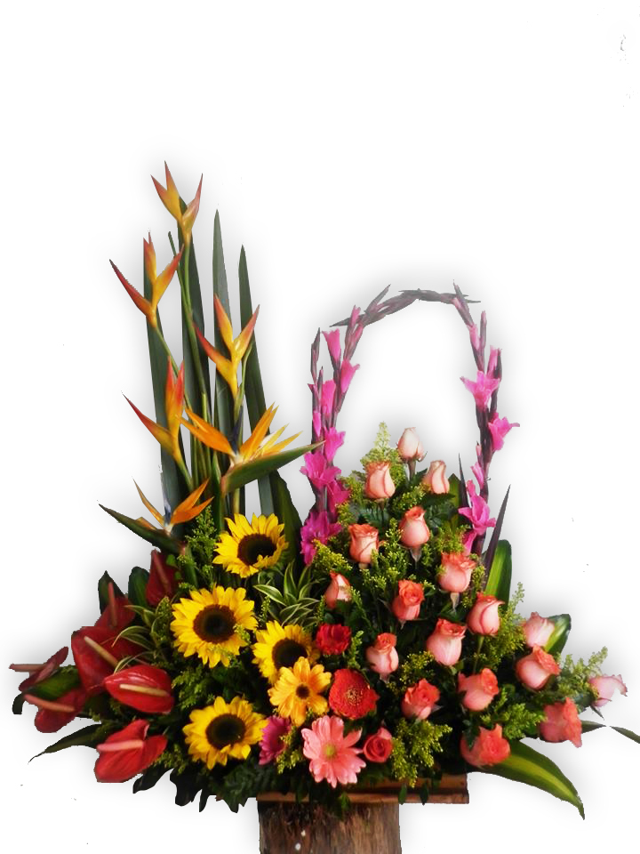 Rosas Y Girasoles A Domicilio En Cali 