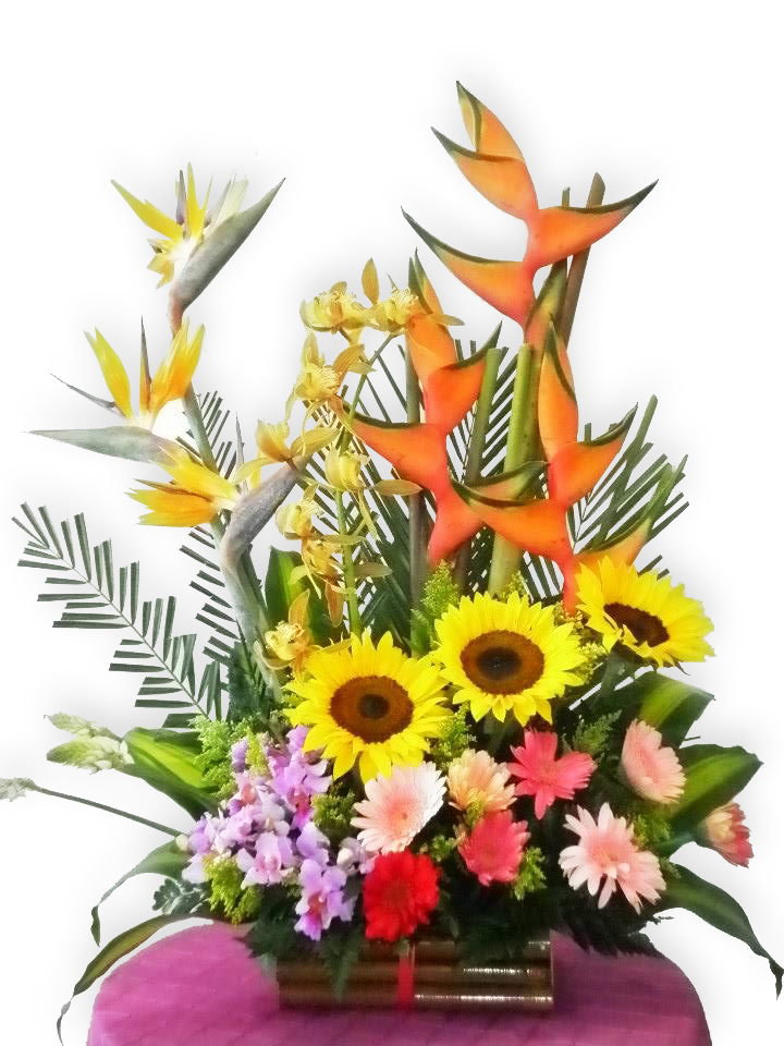 Arreglo Floral Con Girasoles Y Orquideas A Domicilio En Cali 