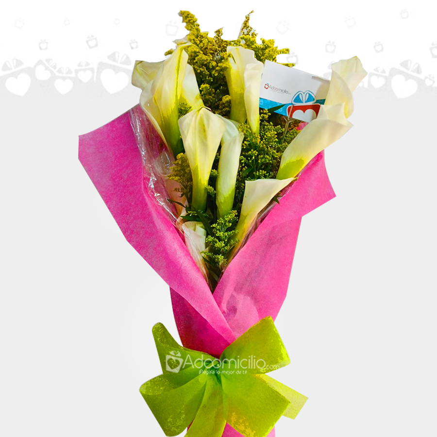 Ramillete De Cartuchos Medellin