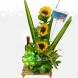 Arreglo floral Girasol Para El Dia Del Padre A Domicilio En Medellin