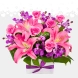 Arreglo Floral Con Lirios Y Orquídeas A Domicilio En Cali 