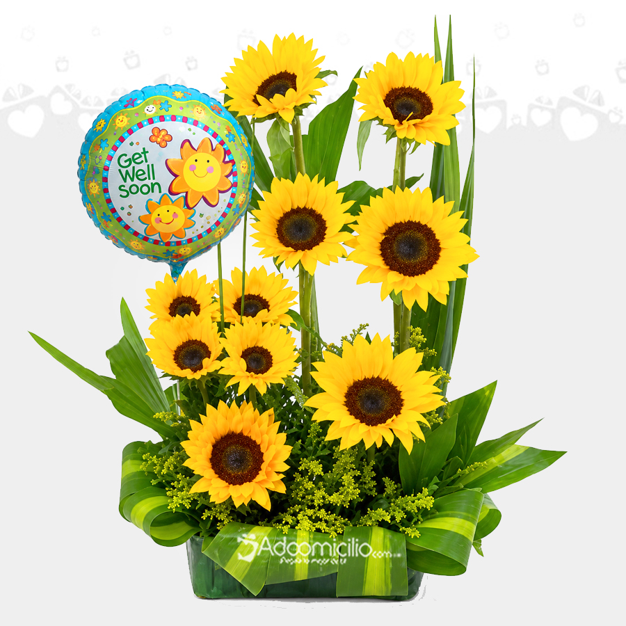 Arreglo Floral De Girasoles A Domicilio En Cali 