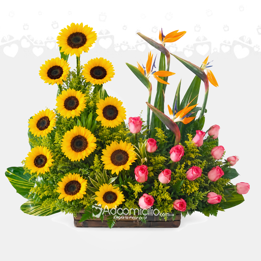 Arreglo Floral Duo De Girasoles Y Rosas A Domicilio En Cali 