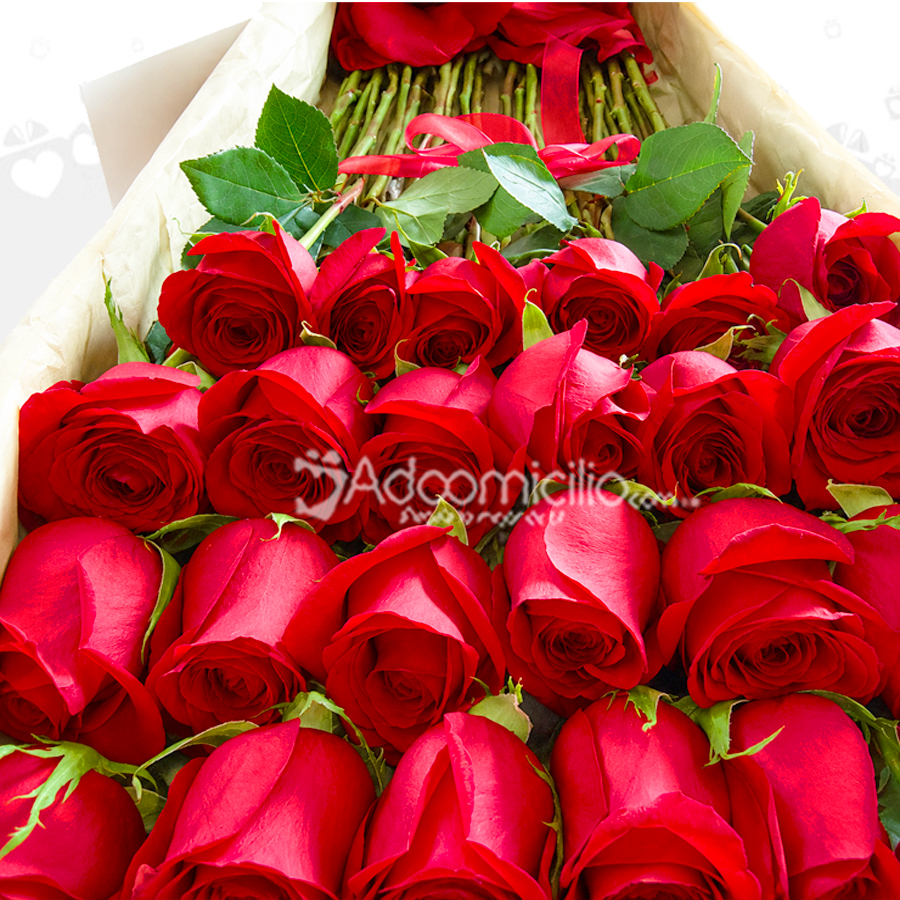 Caja De Rosas X48 A Domicilio En Cali 