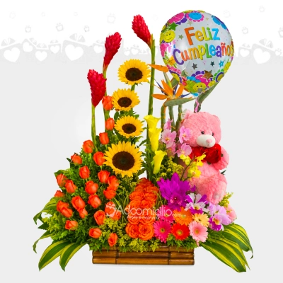 Peluche Y Flores A Domicilio En Cali 