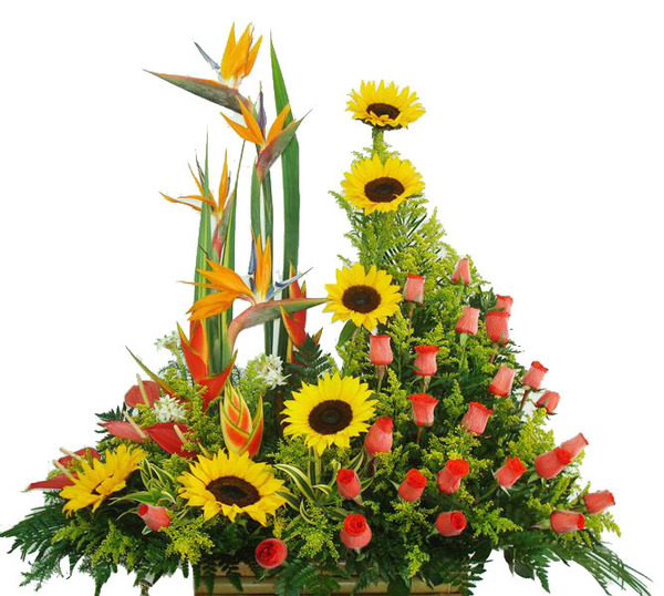 Inspiración de Girasoles