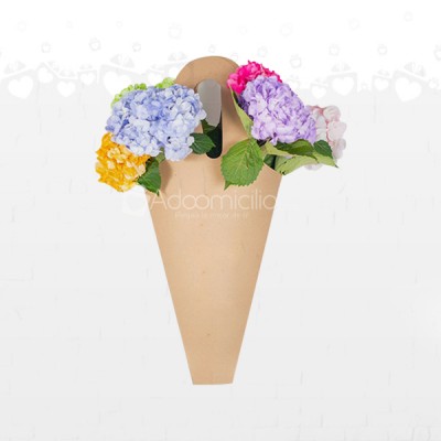 Bolsa Surtida Hortensias a Domicilio en Cali