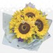 Bouquet De Girasoles A Domicilio En Bogotá Pedido Con Un Día De Anticipación 