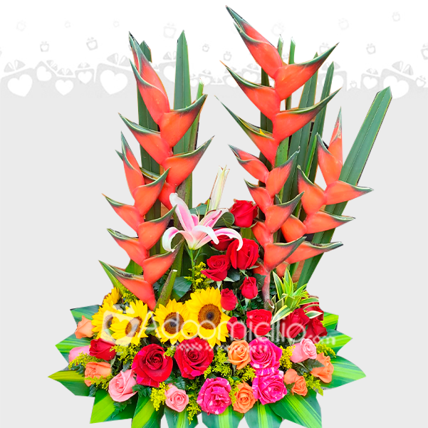 Arreglos Florales Mixto A Domicilio En Cali 