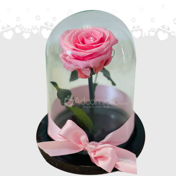 Rosa Preservada A Domicilio En Cali 