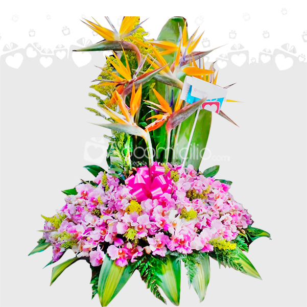 Arreglo Con Flores Exóticas Y Orquídeas A Domicilio En Cali