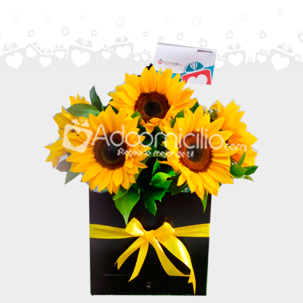Regalo De Girasoles Día De La Mujer A Domicilio En Cali