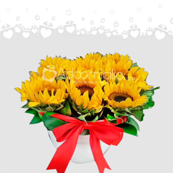 Caja De Girasoles x 9 Unidades Para Mamá A Domicilio En Cali