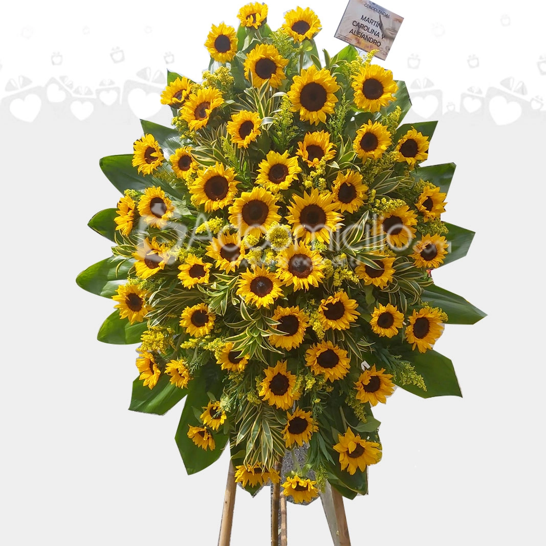 Arreglo Floral De Condolencias Con Girasoles A Domicilio En Manizales 