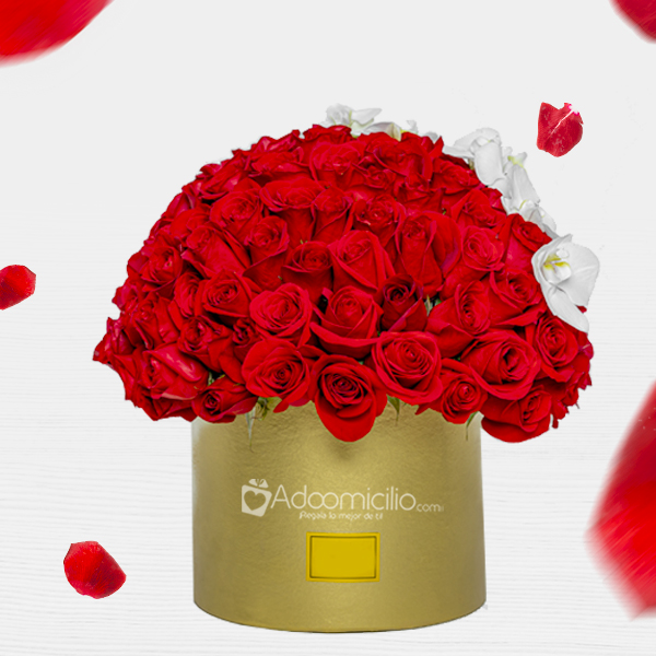 Arreglo Floral Con 100 Rosas Rojas Para Amor Y Amistad A Domicilio En Medellín  