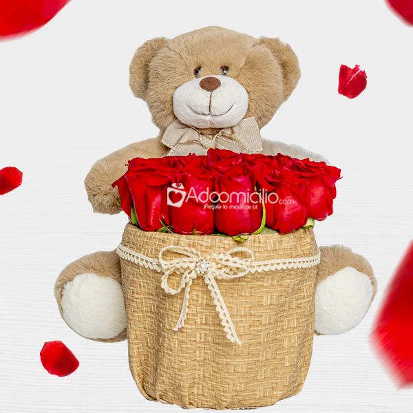 Rosas Con Peluche Para Amor Y Amistad A Domicilio En Medellín 