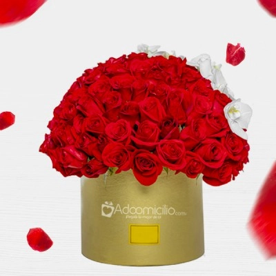 Arreglo Floral Con 100 Rosas Rojas Para Amor Y Amistad A Domicilio En Medellín  