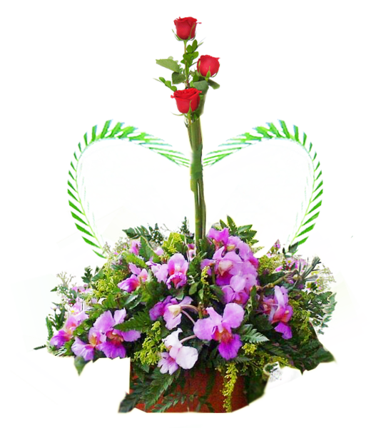 Arreglo Floral Con Orquídeas A Domicilio En Cali