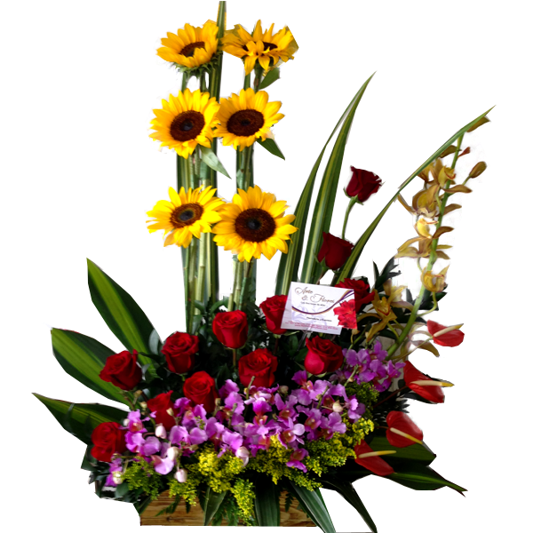 Arreglo Floral Especial Para La Madre A Domicilio En Cali 