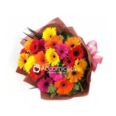 Bouquet De Gerberas A Domicilio En Cali 
