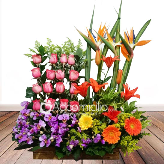 Flores Cali Arreglos Florales A Domicilio En Cali 