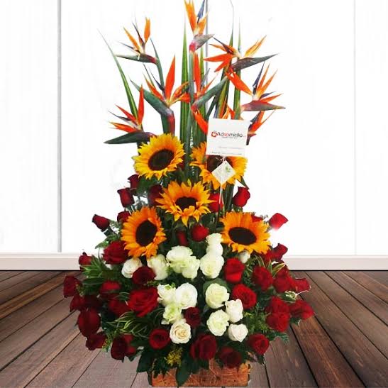 Girasoles Y Rosas A Domicilio En Cali 