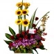 Arreglo Floral Especial Para La Madre A Domicilio En Cali 